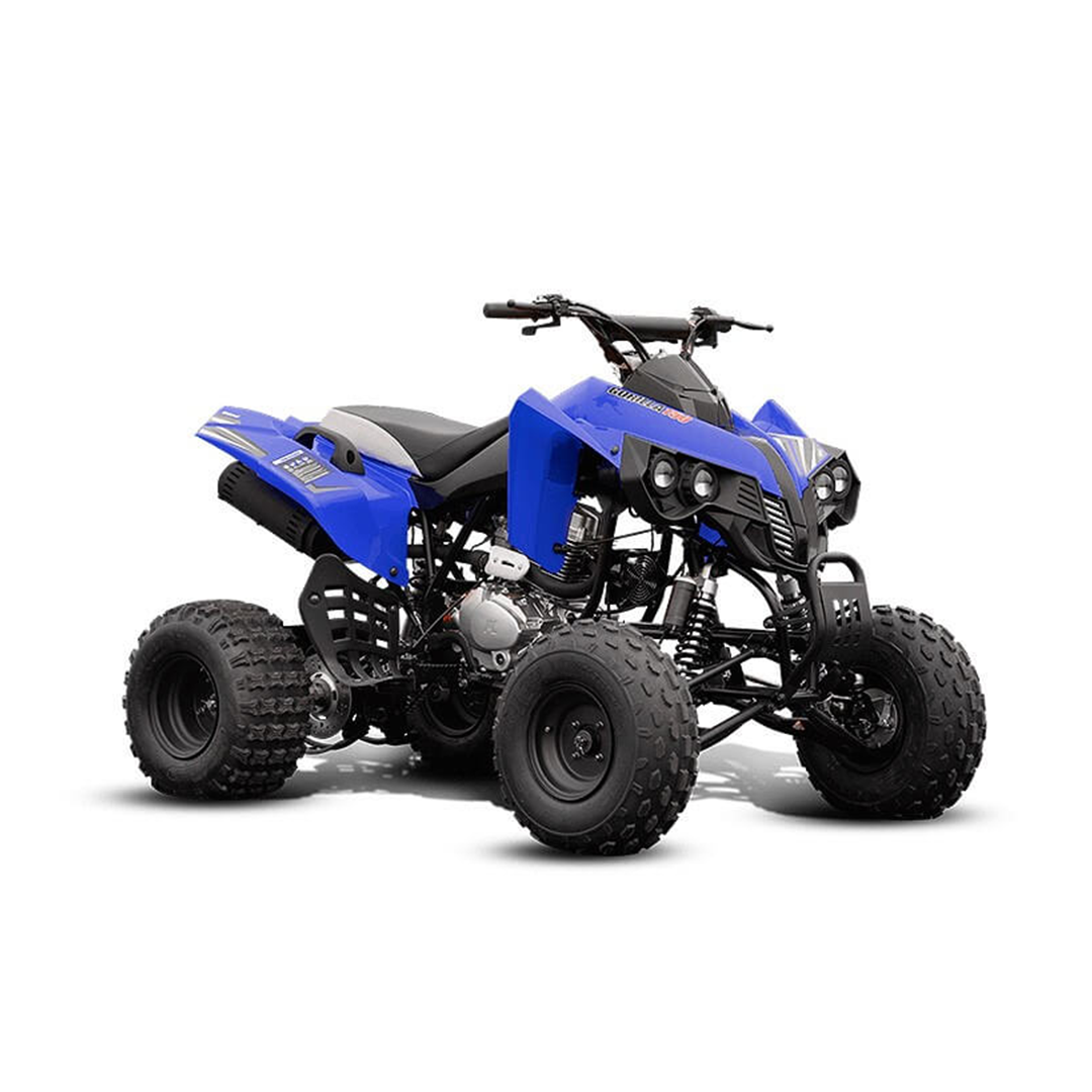MOTOMEL GORILLA 150